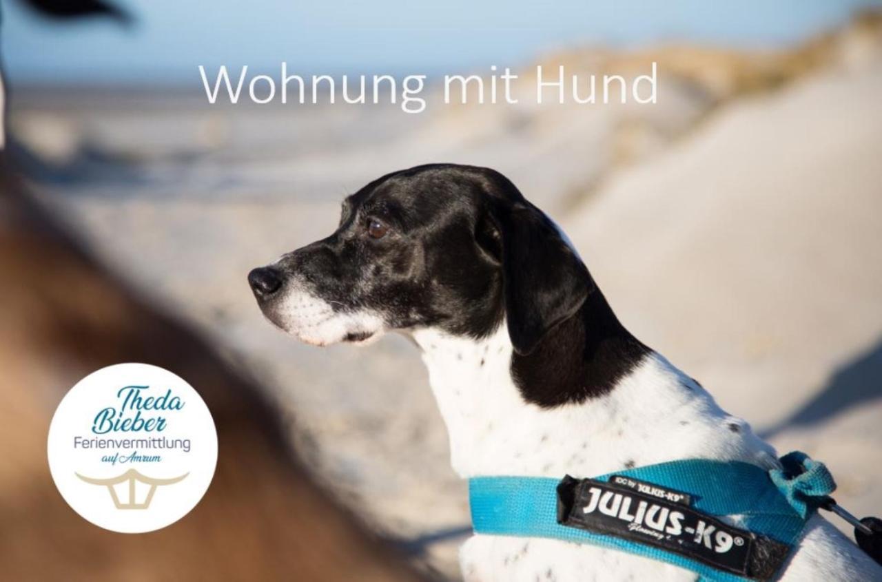 Haus Watthus - Wohnung Paradies Небель Экстерьер фото